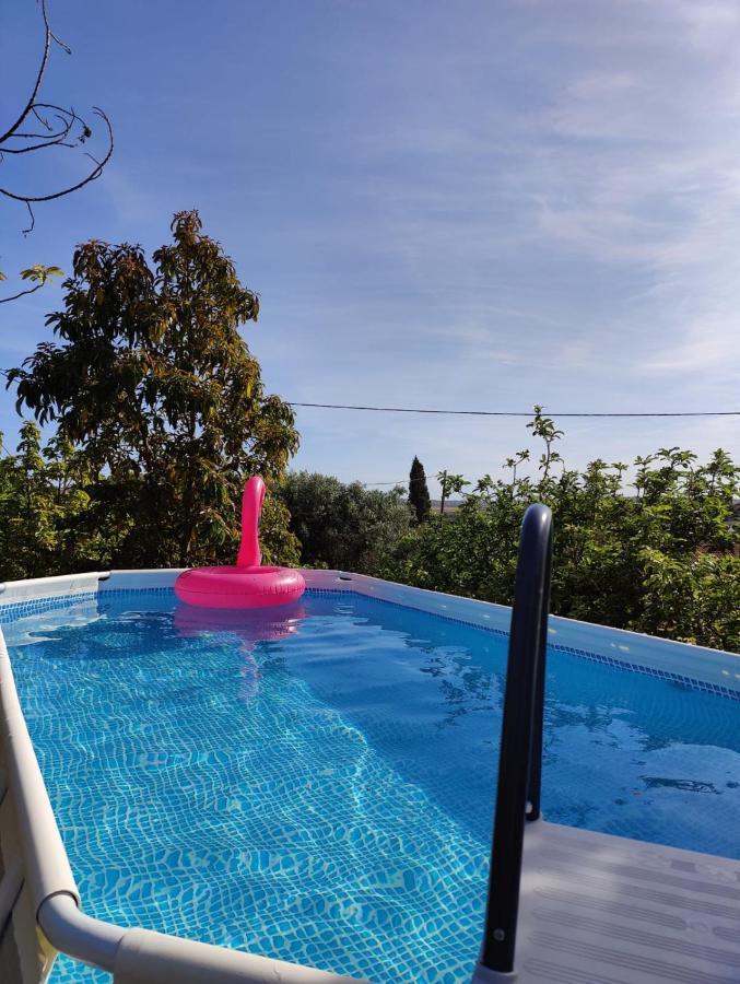Casa Azul-Tiny House With Fantastic View, Big Outdoor Space And Pool Silves Exterior foto